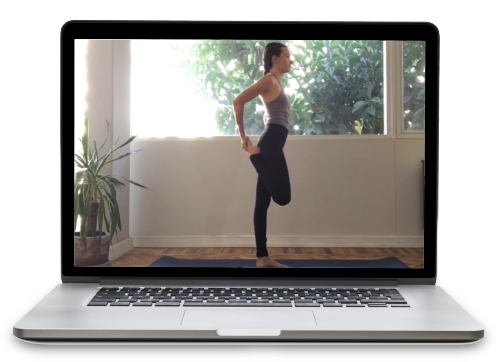 Computadora Meditación